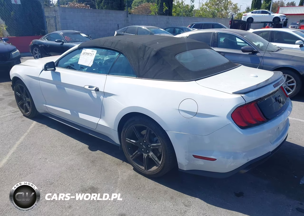 2018 Ford Mustang Ecoboost Premium VIN:1FATP8UHXJ5124259 - 3