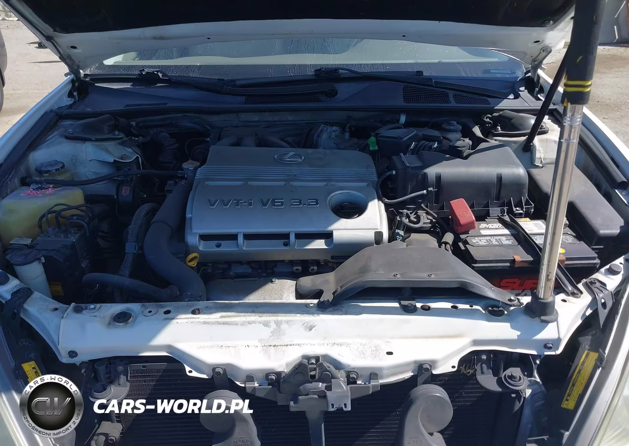 2004 Lexus Es 330 VIN:JTHBA30G545042630 - 10