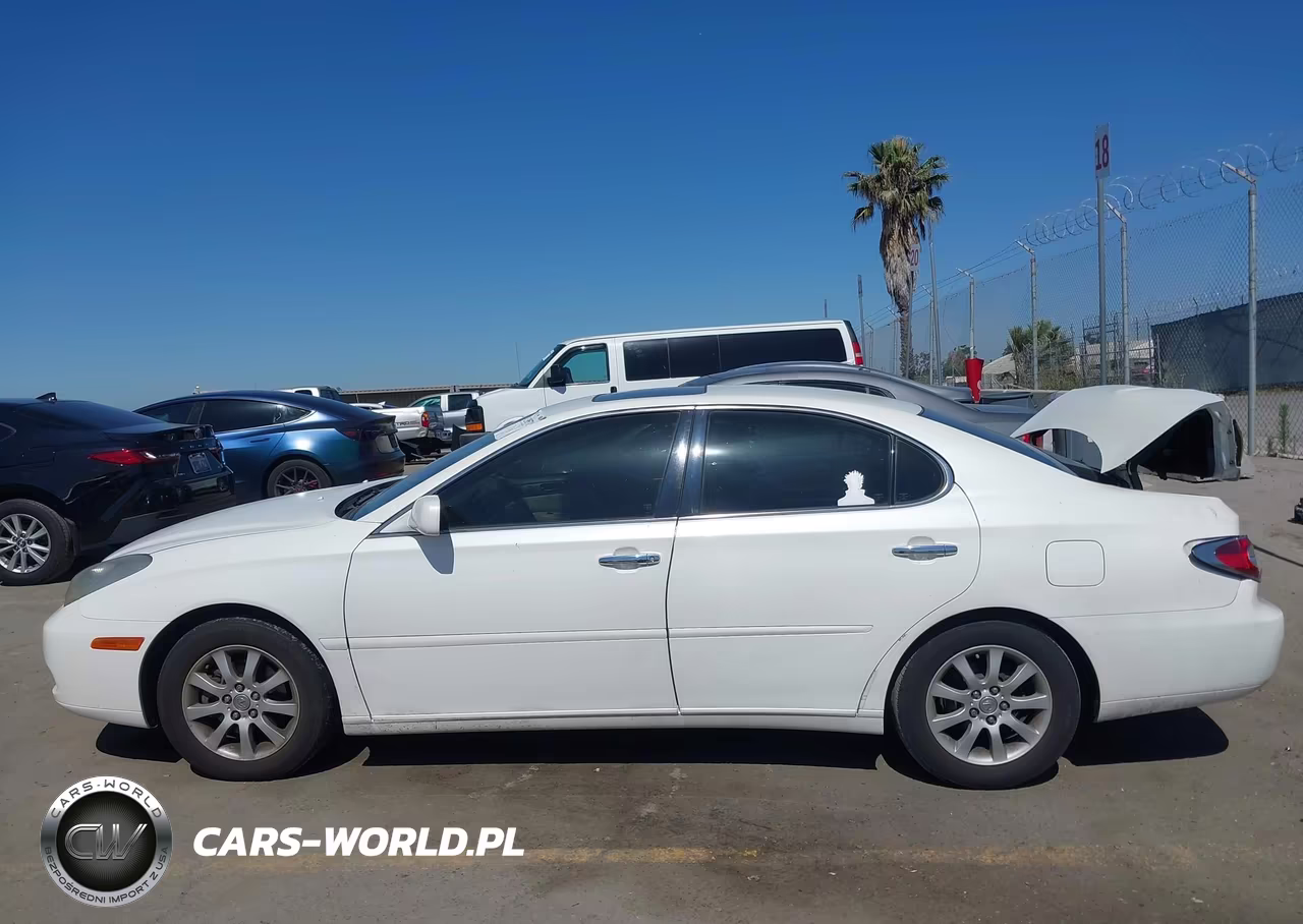 2004 Lexus Es 330 VIN:JTHBA30G545042630 - 13