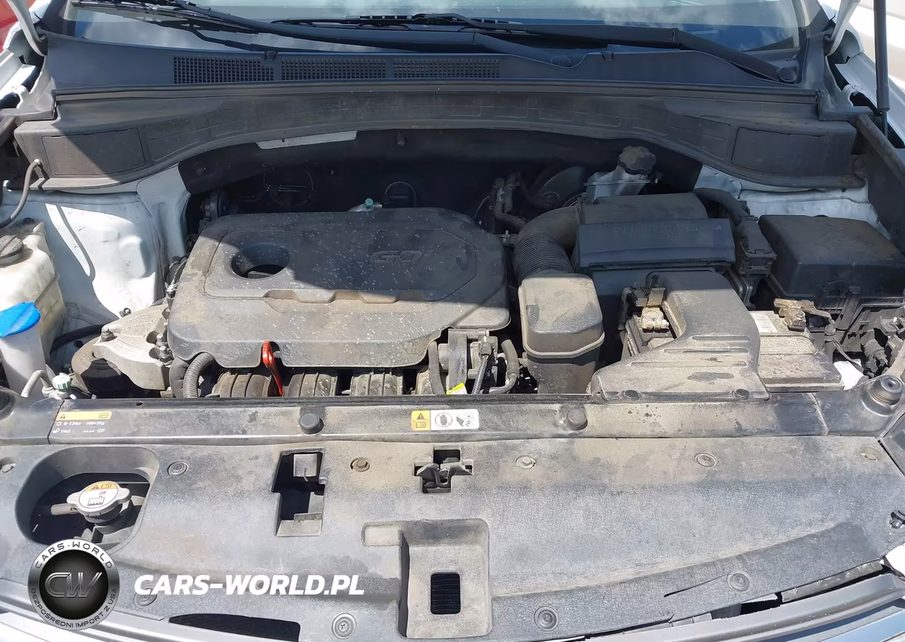 2017 Hyundai Santa Fe Sport 2.4L VIN:5XYZUDLB1HG388717 - 10