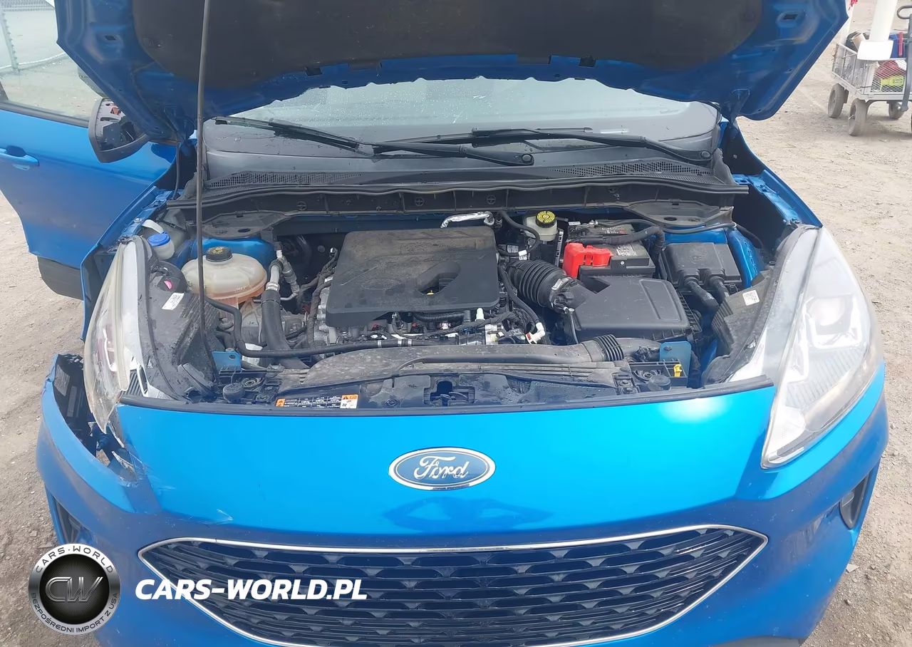 2020 Ford Escape Se VIN:1FMCU0G6XLUA92982 - 10