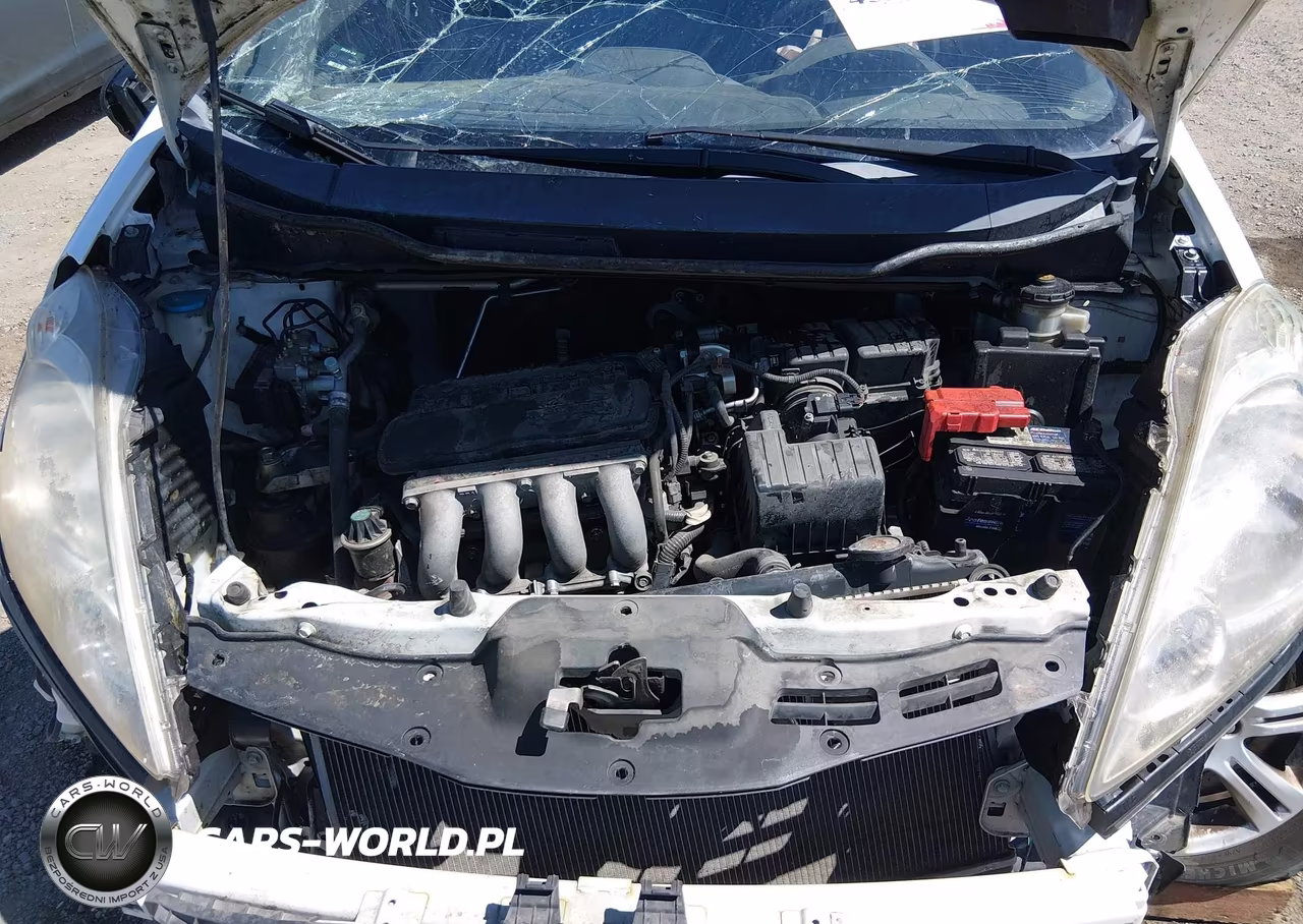 2010 Honda Fit Sport VIN:JHMGE8H42AS015030 - 10