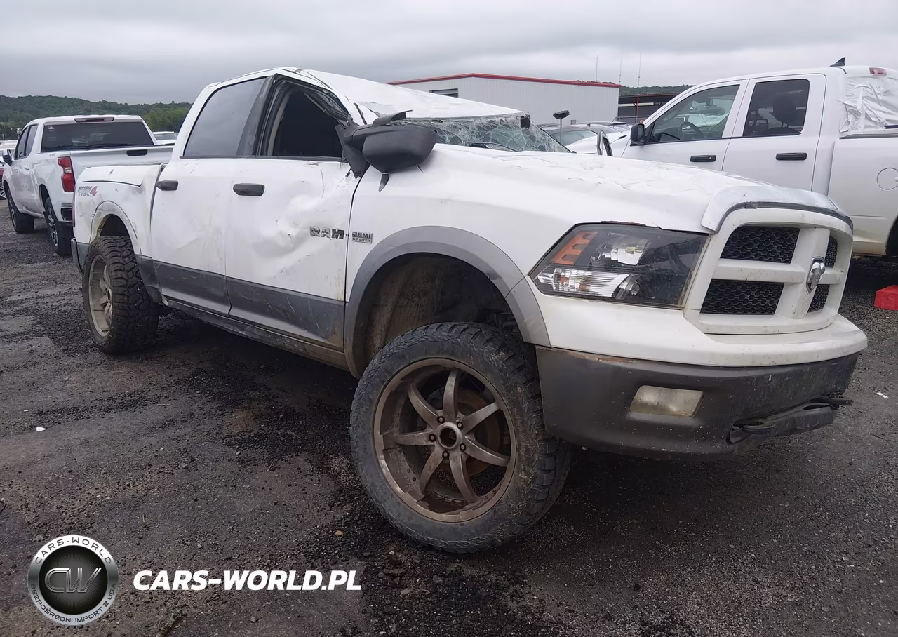 2010 Dodge Ram 1500 Slt-Sport-Trx VIN:1D7RV1CT7AS256586 - 1