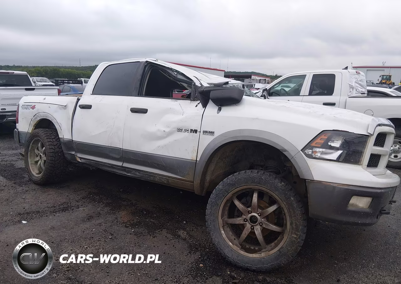 2010 Dodge Ram 1500 Slt-Sport-Trx VIN:1D7RV1CT7AS256586 - 12