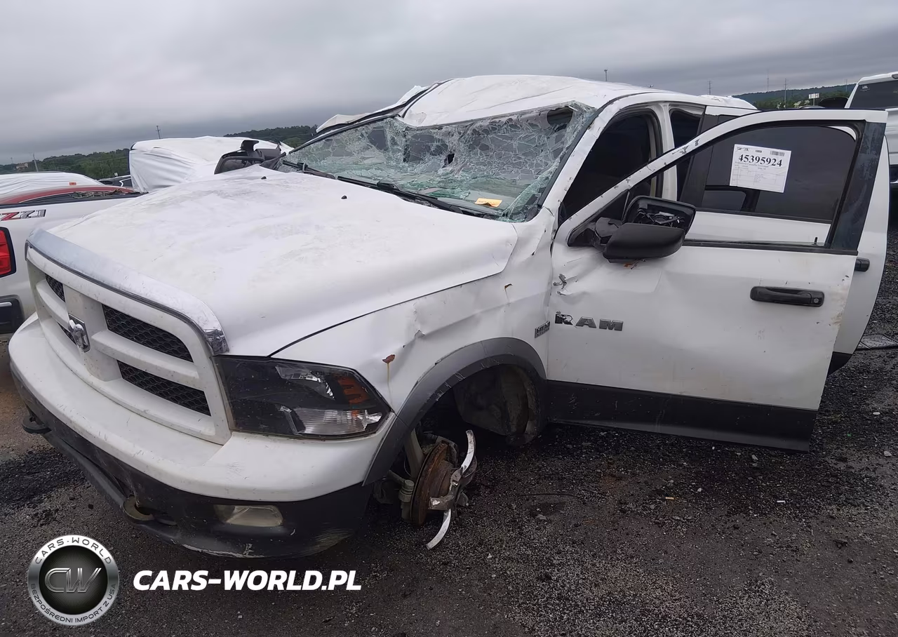2010 Dodge Ram 1500 Slt-Sport-Trx VIN:1D7RV1CT7AS256586 - 2