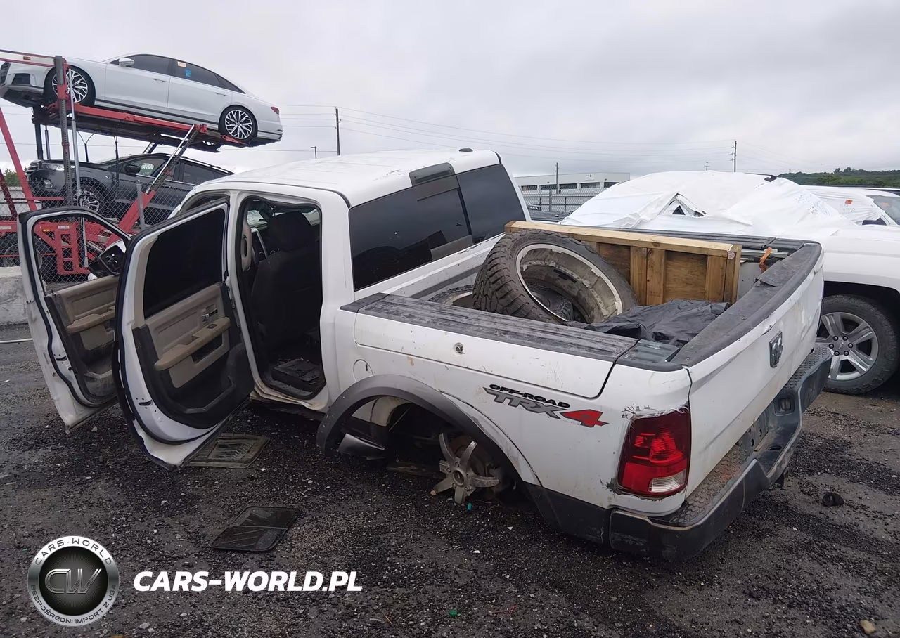 2010 Dodge Ram 1500 Slt-Sport-Trx VIN:1D7RV1CT7AS256586 - 3