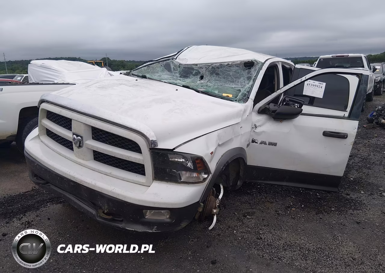 2010 Dodge Ram 1500 Slt-Sport-Trx VIN:1D7RV1CT7AS256586 - 6