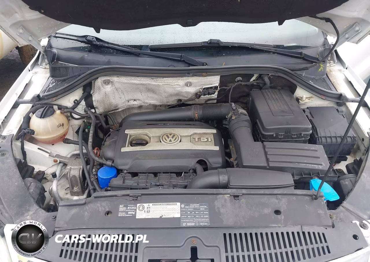 2010 Volkswagen Tiguan Wolfsburg Edition VIN:WVGAV7AX4AW001673 - 10