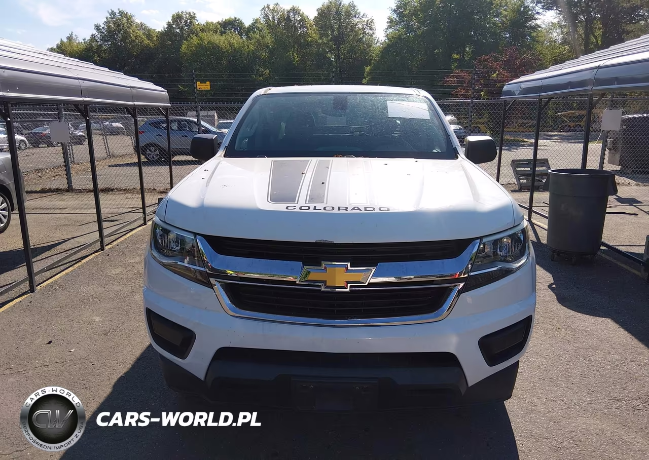 2016 Chevrolet Colorado 4Wd Wt VIN:1GCGTBE3XG1201400 - 12