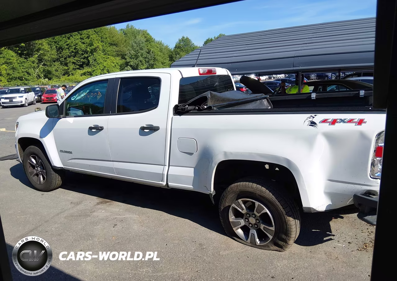 2016 Chevrolet Colorado 4Wd Wt VIN:1GCGTBE3XG1201400 - 14