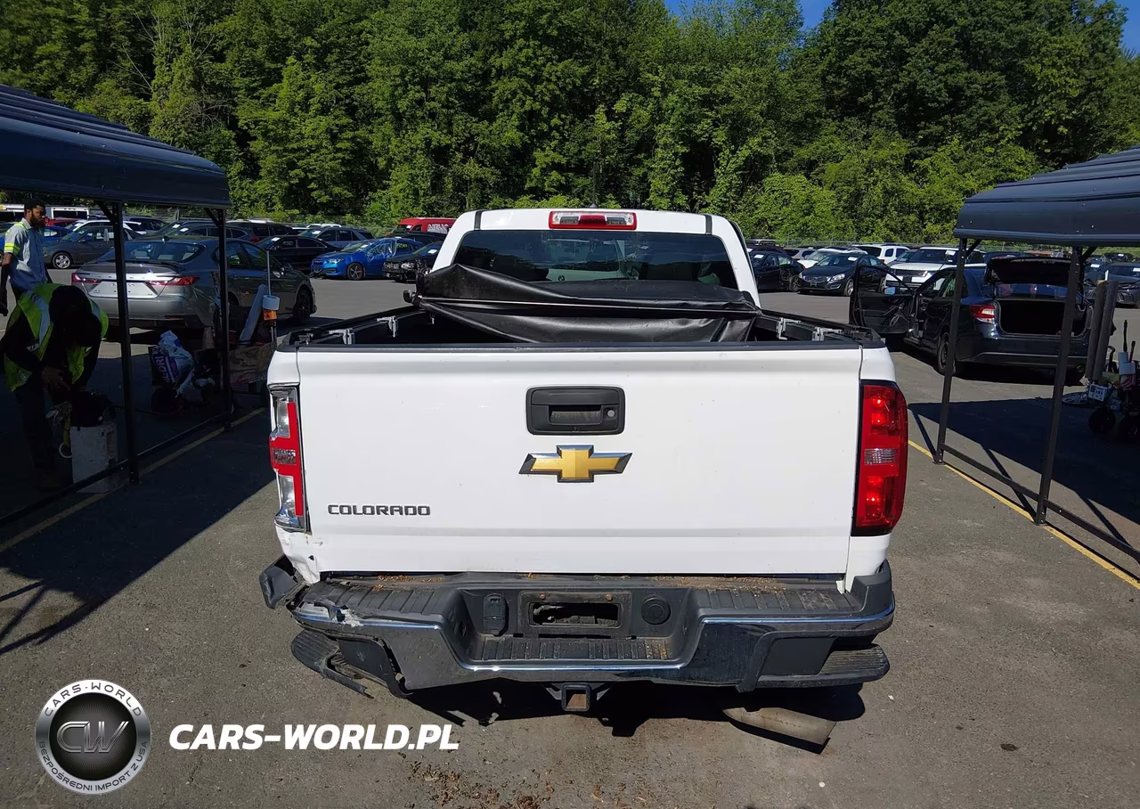 2016 Chevrolet Colorado 4Wd Wt VIN:1GCGTBE3XG1201400 - 16