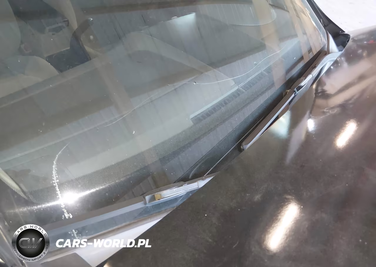 2006 Honda Accord Se VIN:1HGCM56336A135011 - 6