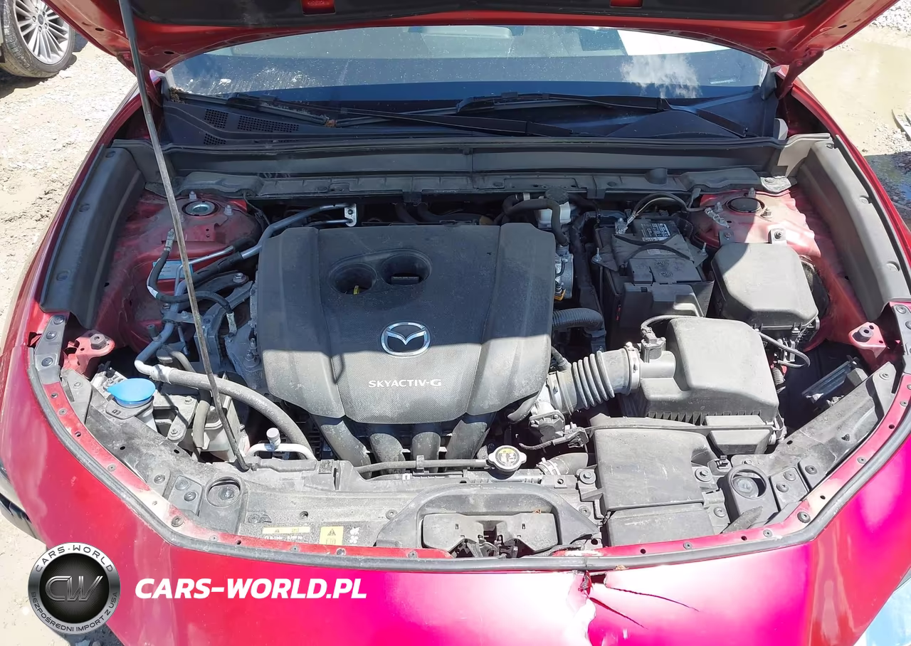 2020 Mazda Cx-30 Premium Package VIN:3MVDMBEM9LM129108 - 10