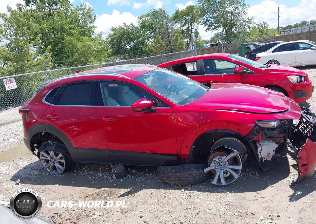 2020 Mazda Cx-30 Premium Package VIN:3MVDMBEM9LM129108 - 13
