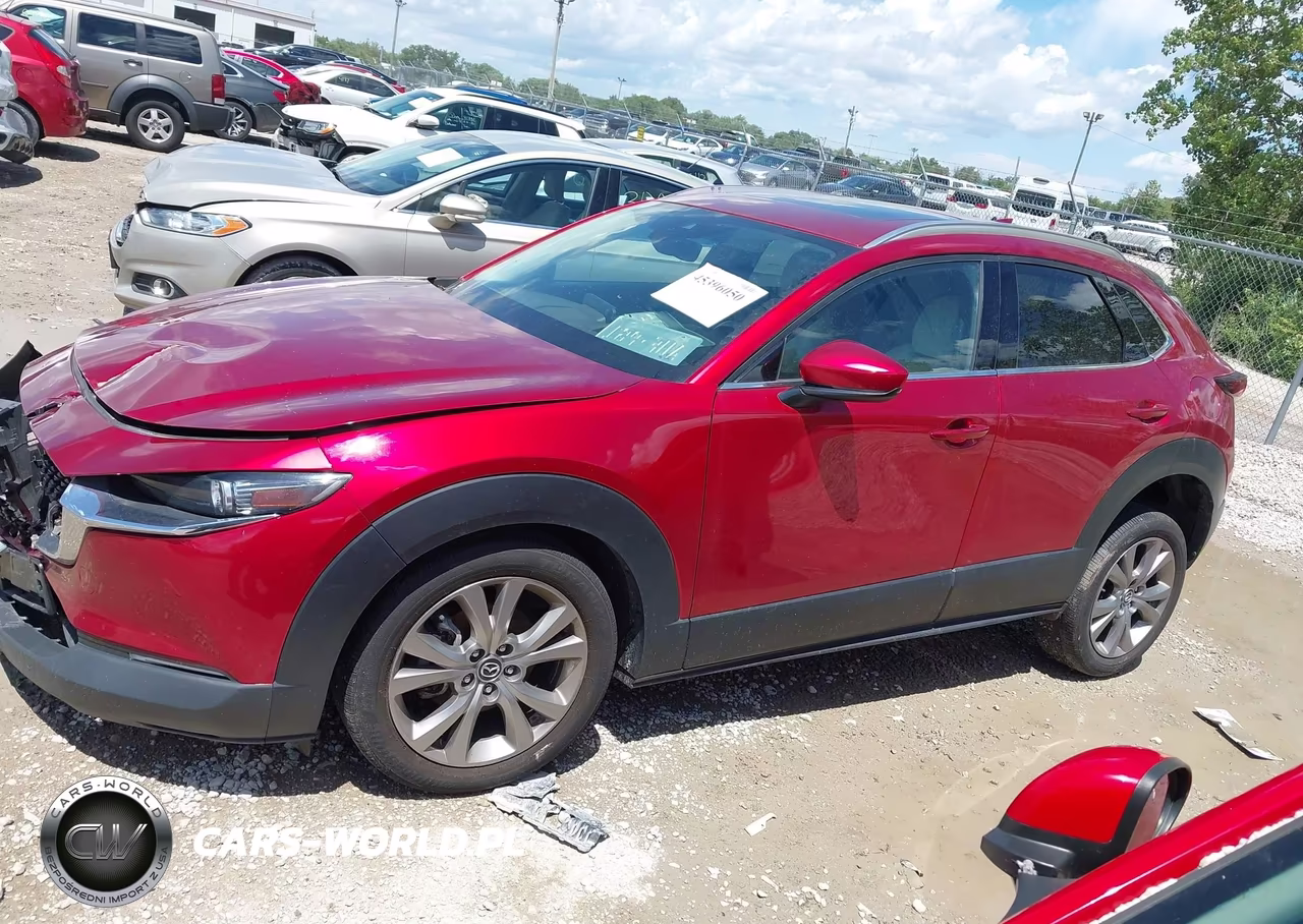 2020 Mazda Cx-30 Premium Package VIN:3MVDMBEM9LM129108 - 14