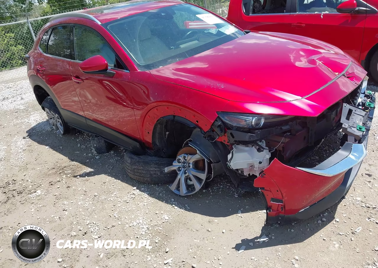 2020 Mazda Cx-30 Premium Package VIN:3MVDMBEM9LM129108 - 17