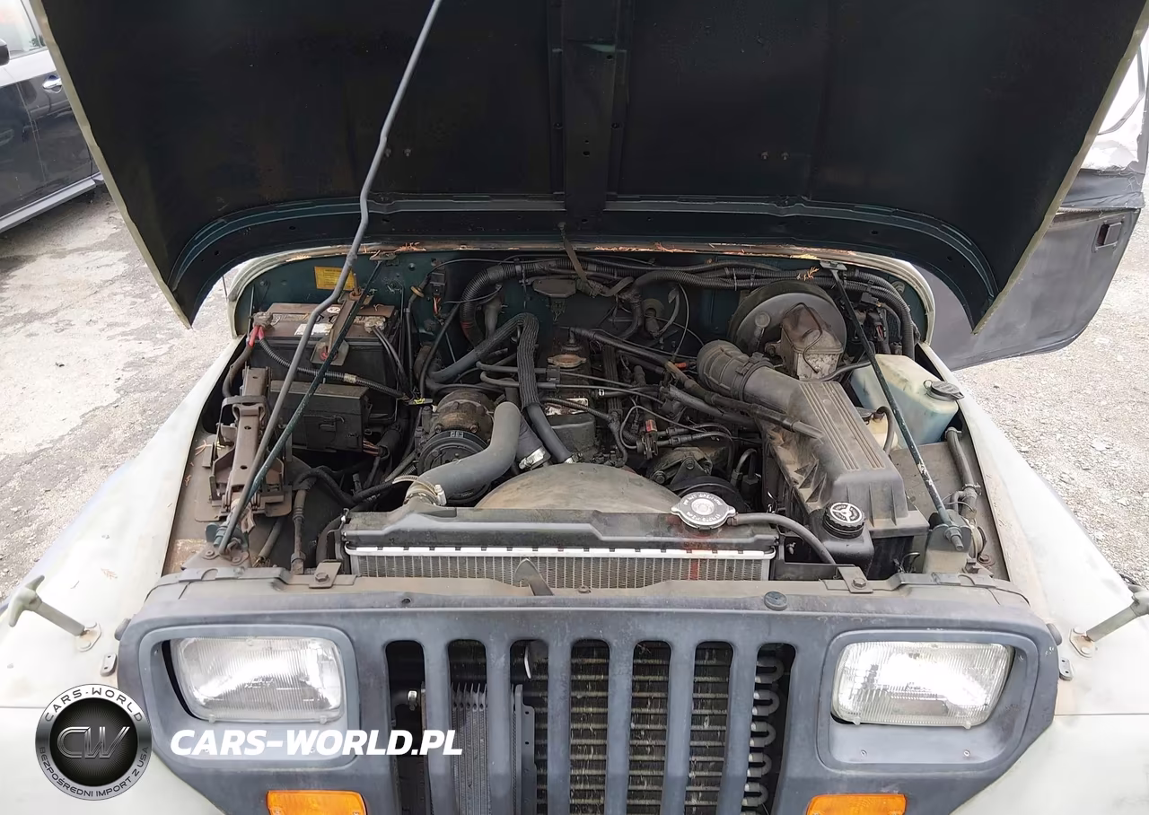 1995 Jeep Wrangler - Yj S-Rio Grande VIN:1J4FY19P4SP273911 - 10