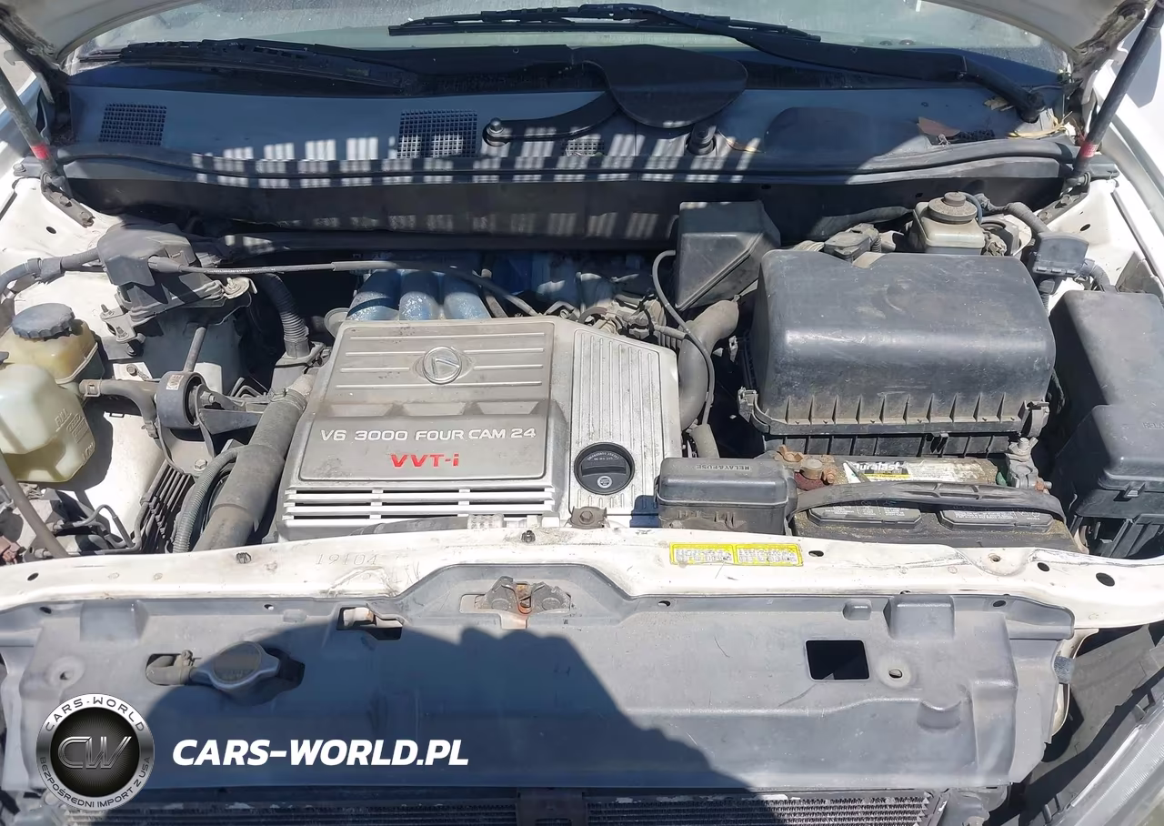 1999 Lexus Rx 300 VIN:JT6HF10U2X0006992 - 10