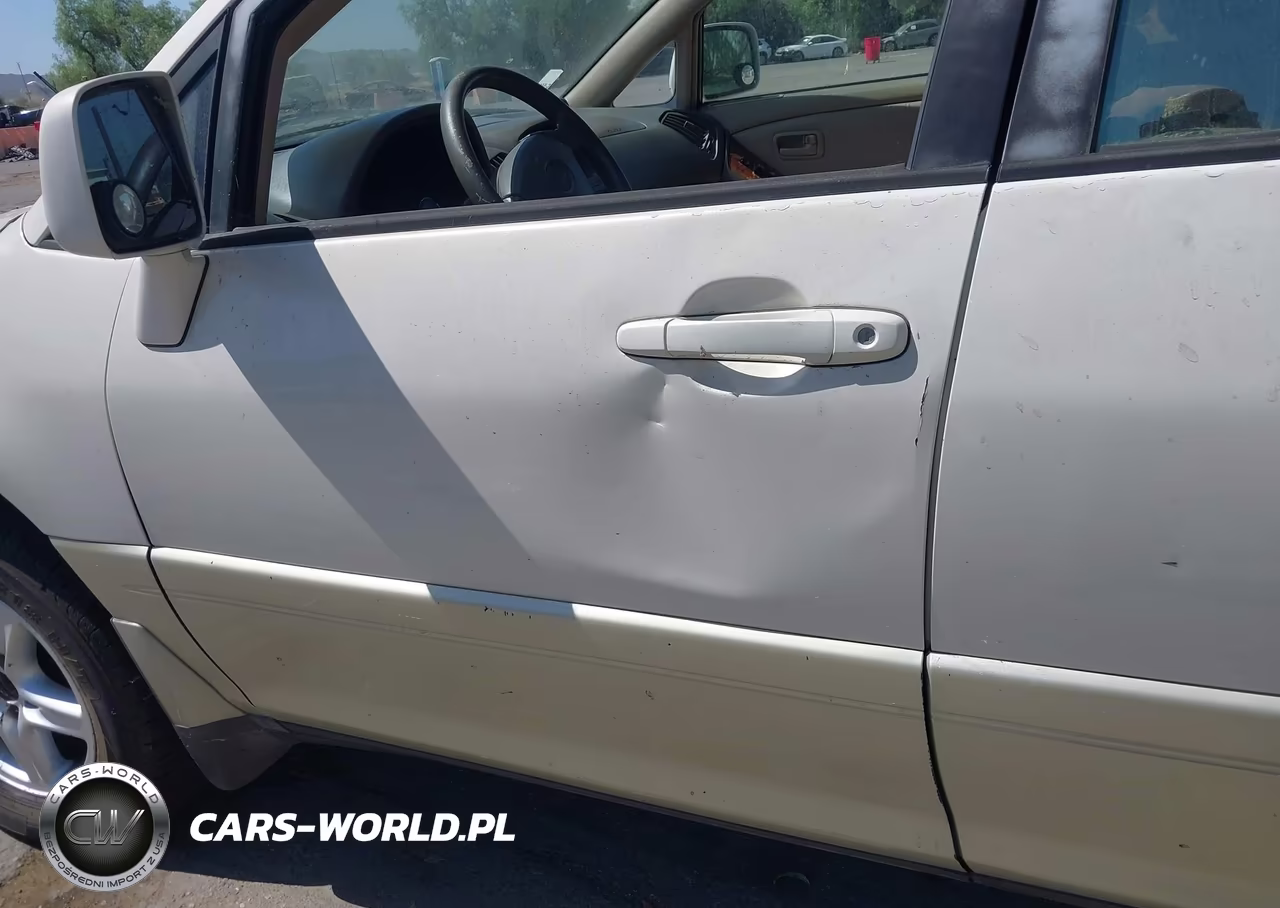 1999 Lexus Rx 300 VIN:JT6HF10U2X0006992 - 12
