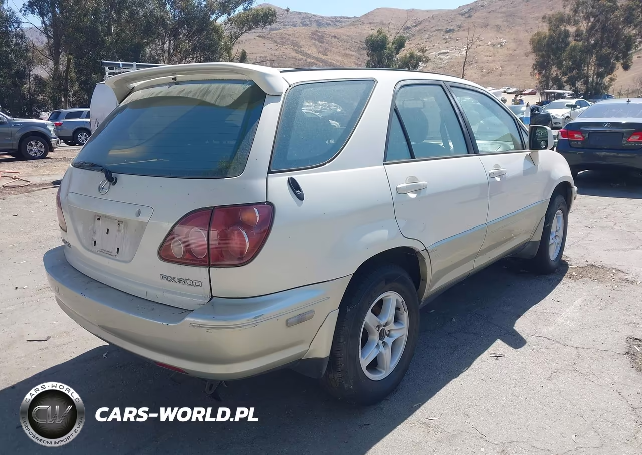 1999 Lexus Rx 300 VIN:JT6HF10U2X0006992 - 4