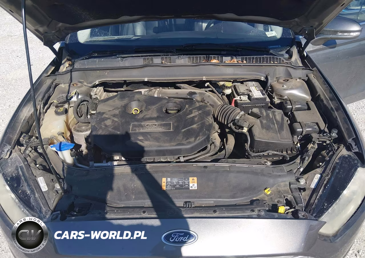 2013 Ford Fusion Titanium VIN:3FA6P0K95DR385598 - 10