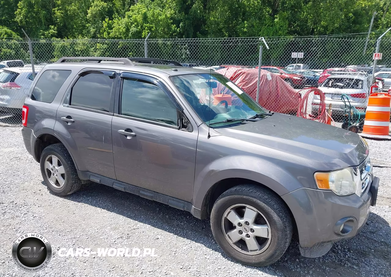 2010 Ford Escape Xlt