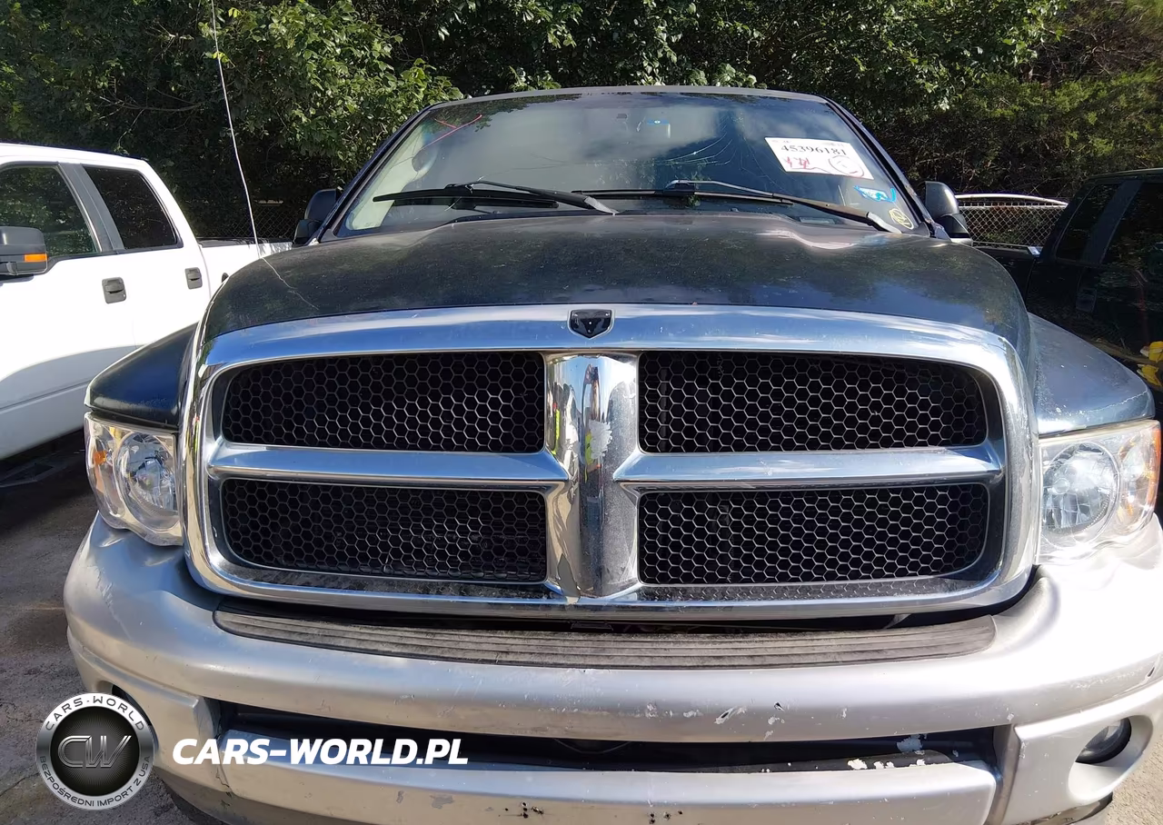 2002 Dodge Ram 1500 St VIN:1D7HU18ZX2S535236 - 12