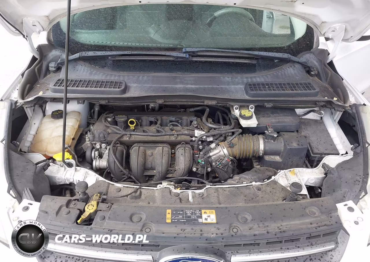 2015 Ford Escape Se VIN:1FMCU0G74FUB32857 - 10