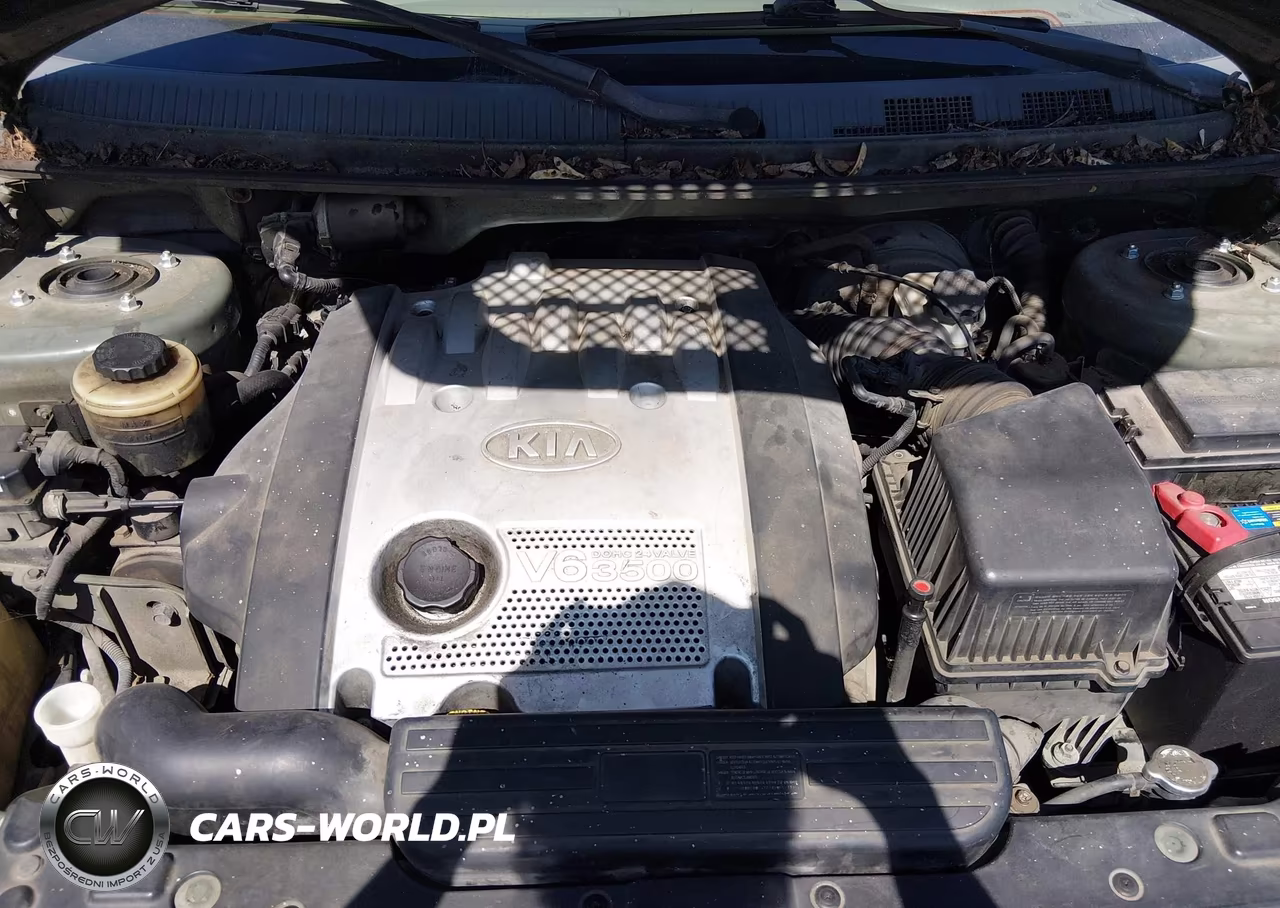 2005 Kia Sedona Ex-Lx VIN:KNDUP131556680098 - 10