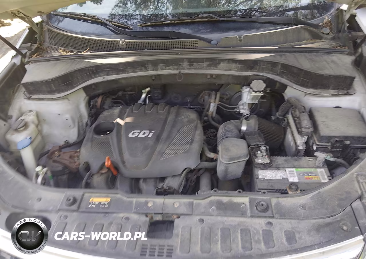 2014 Kia Sorento Lx VIN:5XYKT4A63EG434425 - 10