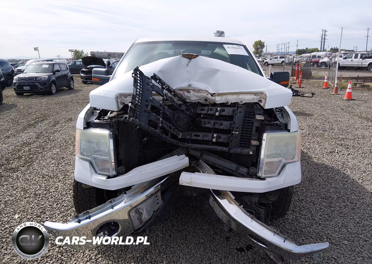 2010 Ford F-150 Fx4-Lariat-Xl-Xlt VIN:1FTFX1EV5AKB71140 - 12
