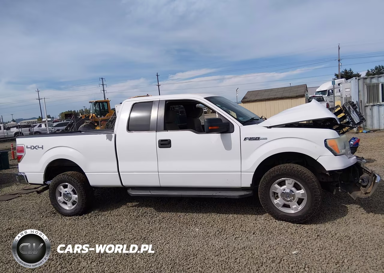 2010 Ford F-150 Fx4-Lariat-Xl-Xlt VIN:1FTFX1EV5AKB71140 - 13
