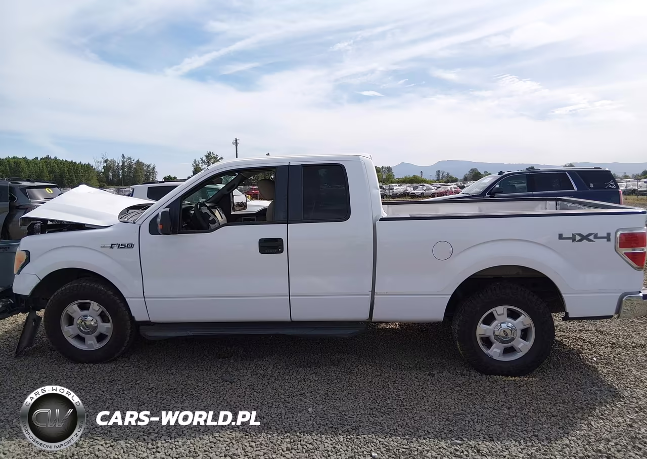 2010 Ford F-150 Fx4-Lariat-Xl-Xlt VIN:1FTFX1EV5AKB71140 - 14
