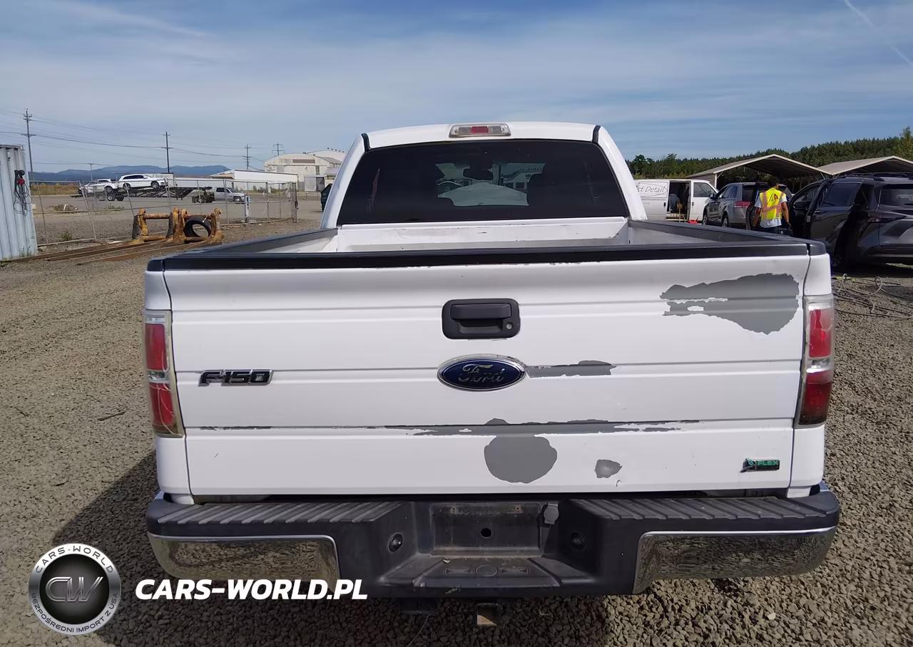 2010 Ford F-150 Fx4-Lariat-Xl-Xlt VIN:1FTFX1EV5AKB71140 - 16