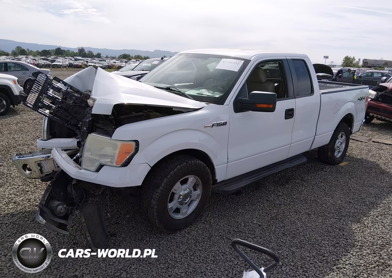 2010 Ford F-150 Fx4-Lariat-Xl-Xlt VIN:1FTFX1EV5AKB71140 - 2