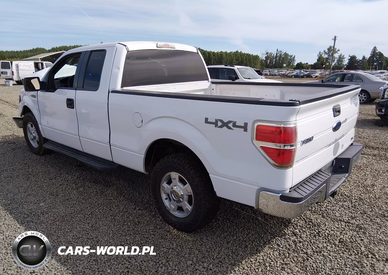 2010 Ford F-150 Fx4-Lariat-Xl-Xlt VIN:1FTFX1EV5AKB71140 - 3