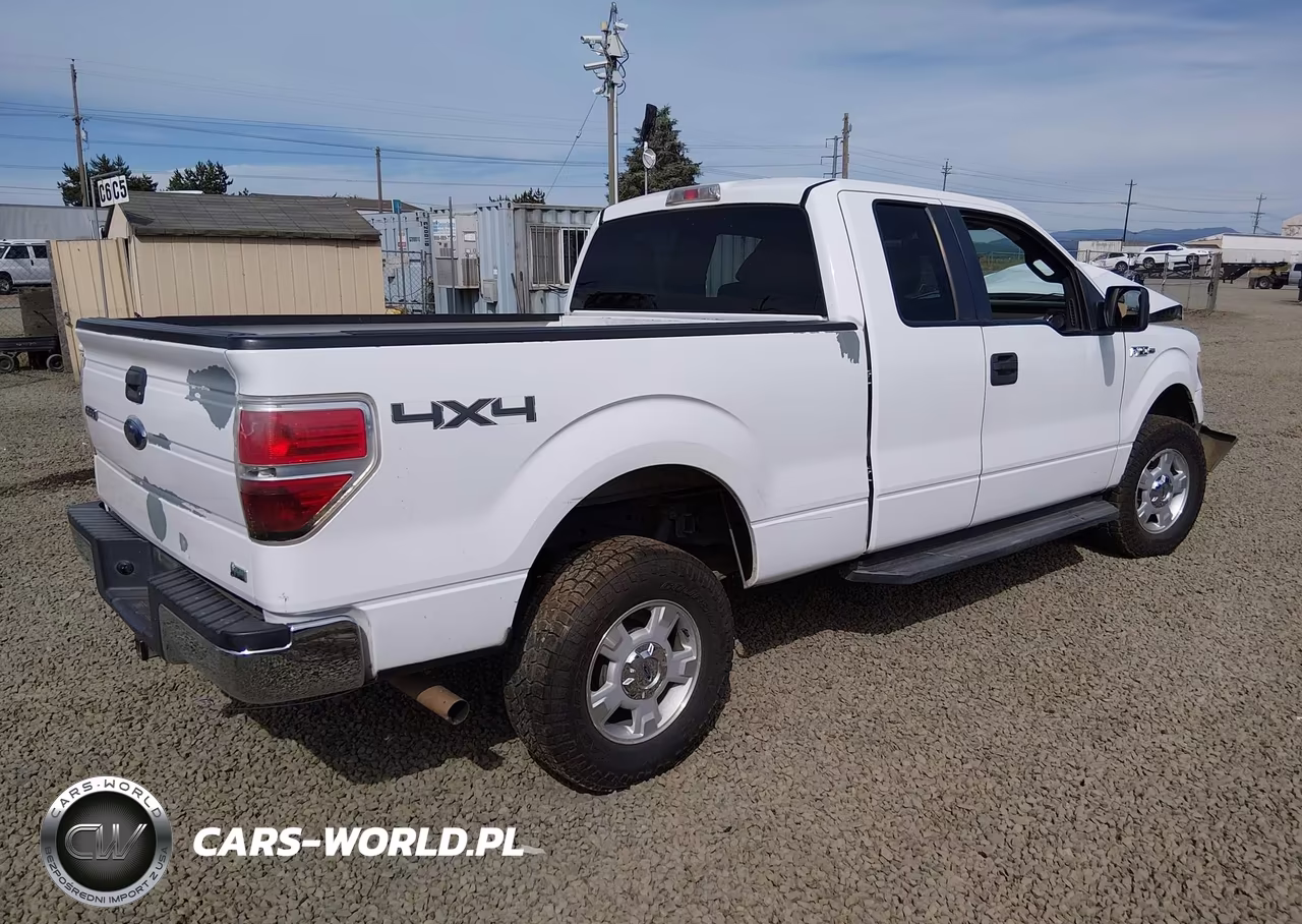 2010 Ford F-150 Fx4-Lariat-Xl-Xlt VIN:1FTFX1EV5AKB71140 - 4