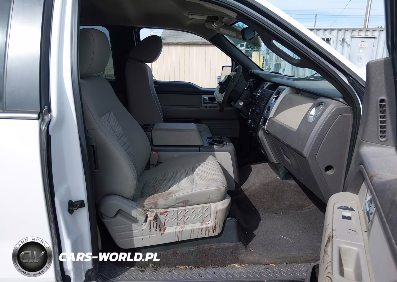 2010 Ford F-150 Fx4-Lariat-Xl-Xlt VIN:1FTFX1EV5AKB71140 - 5