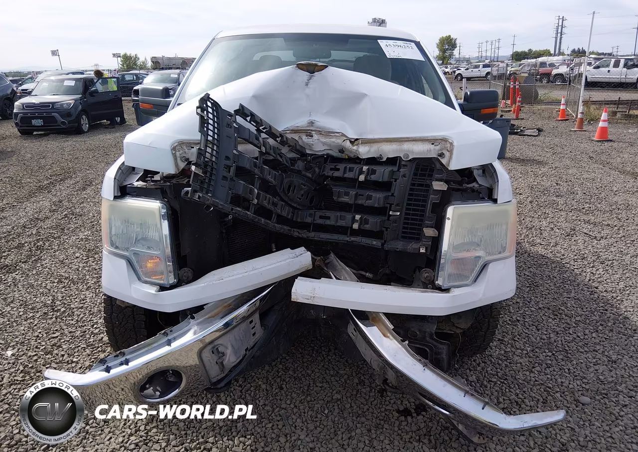 2010 Ford F-150 Fx4-Lariat-Xl-Xlt VIN:1FTFX1EV5AKB71140 - 6
