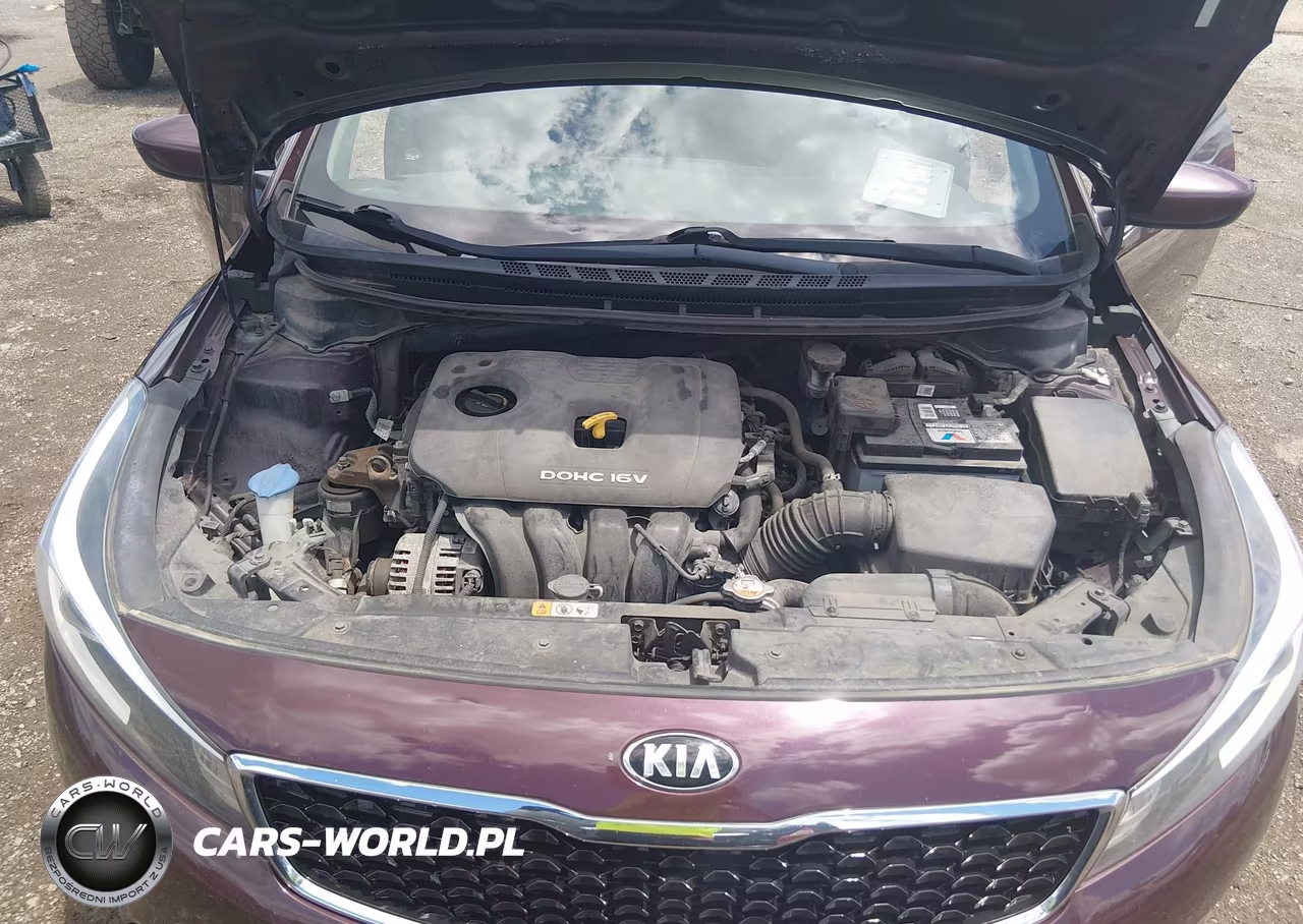2018 Kia Forte Lx VIN:3KPFK4A77JE188208 - 10