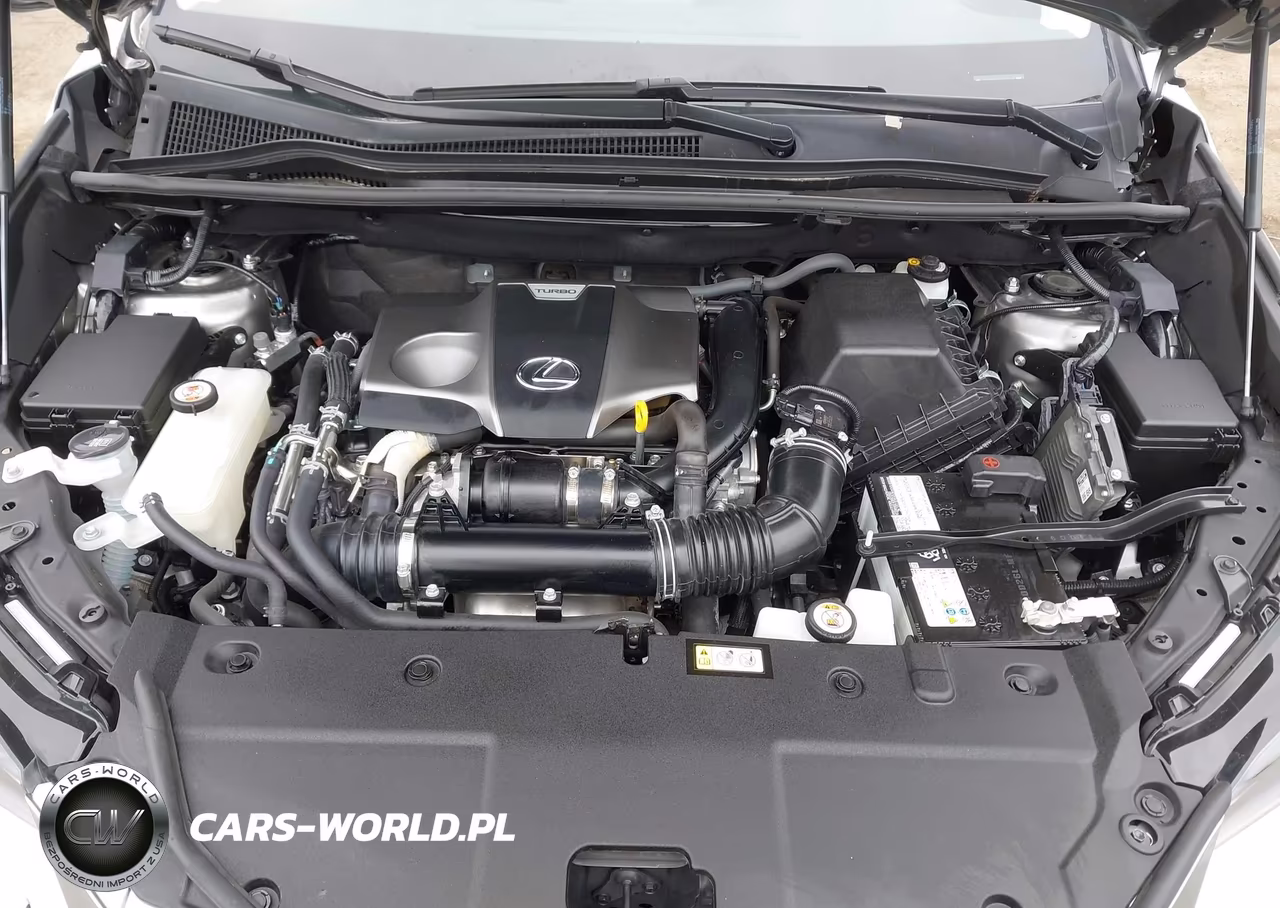 2020 Lexus Nx 300 Base VIN:JTJAARBZXL2162645 - 10