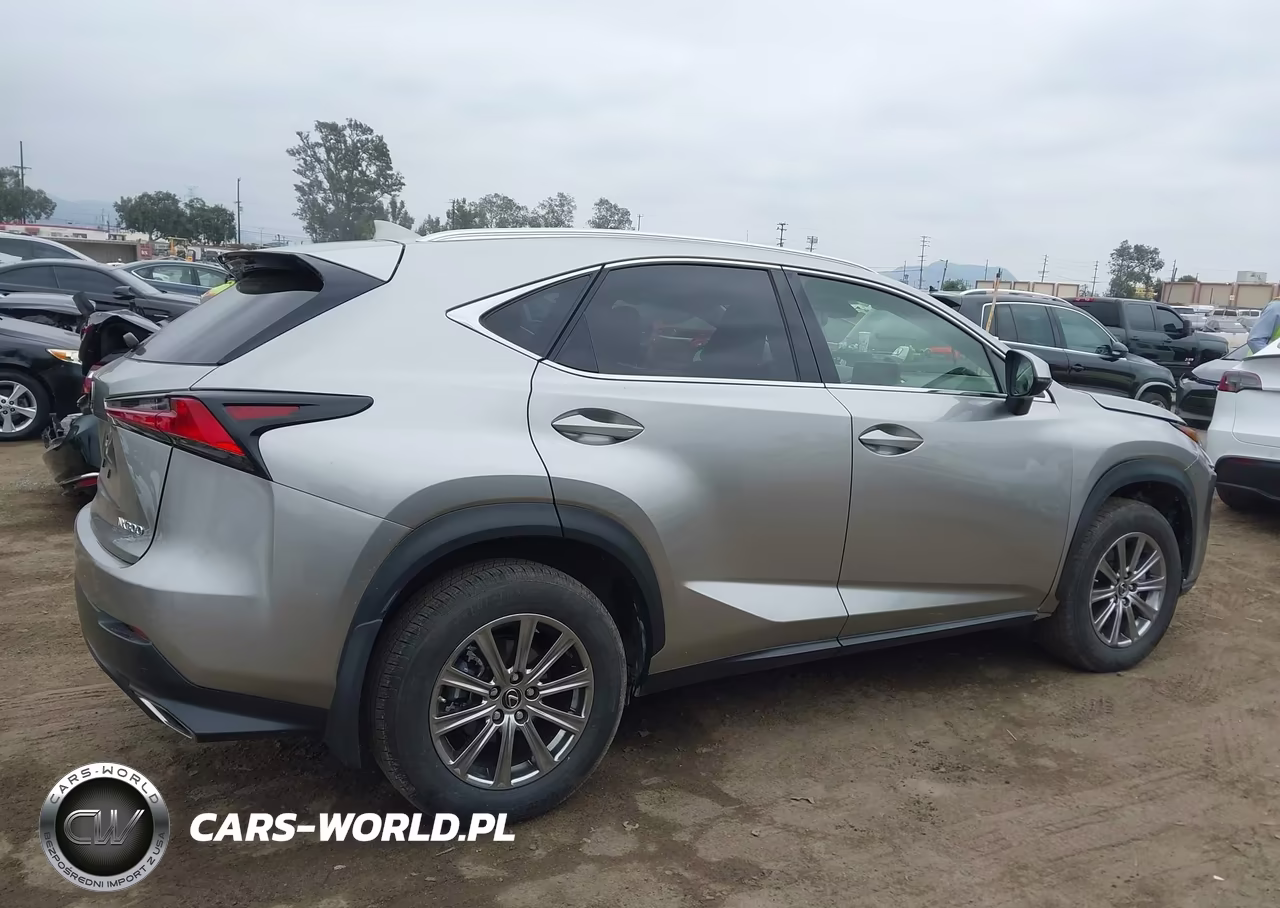 2020 Lexus Nx 300 Base VIN:JTJAARBZXL2162645 - 13