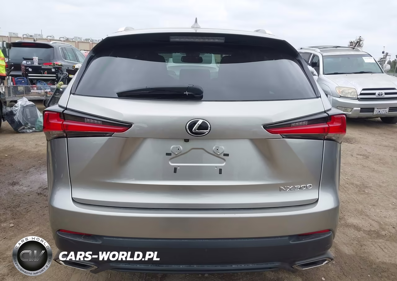 2020 Lexus Nx 300 Base VIN:JTJAARBZXL2162645 - 16