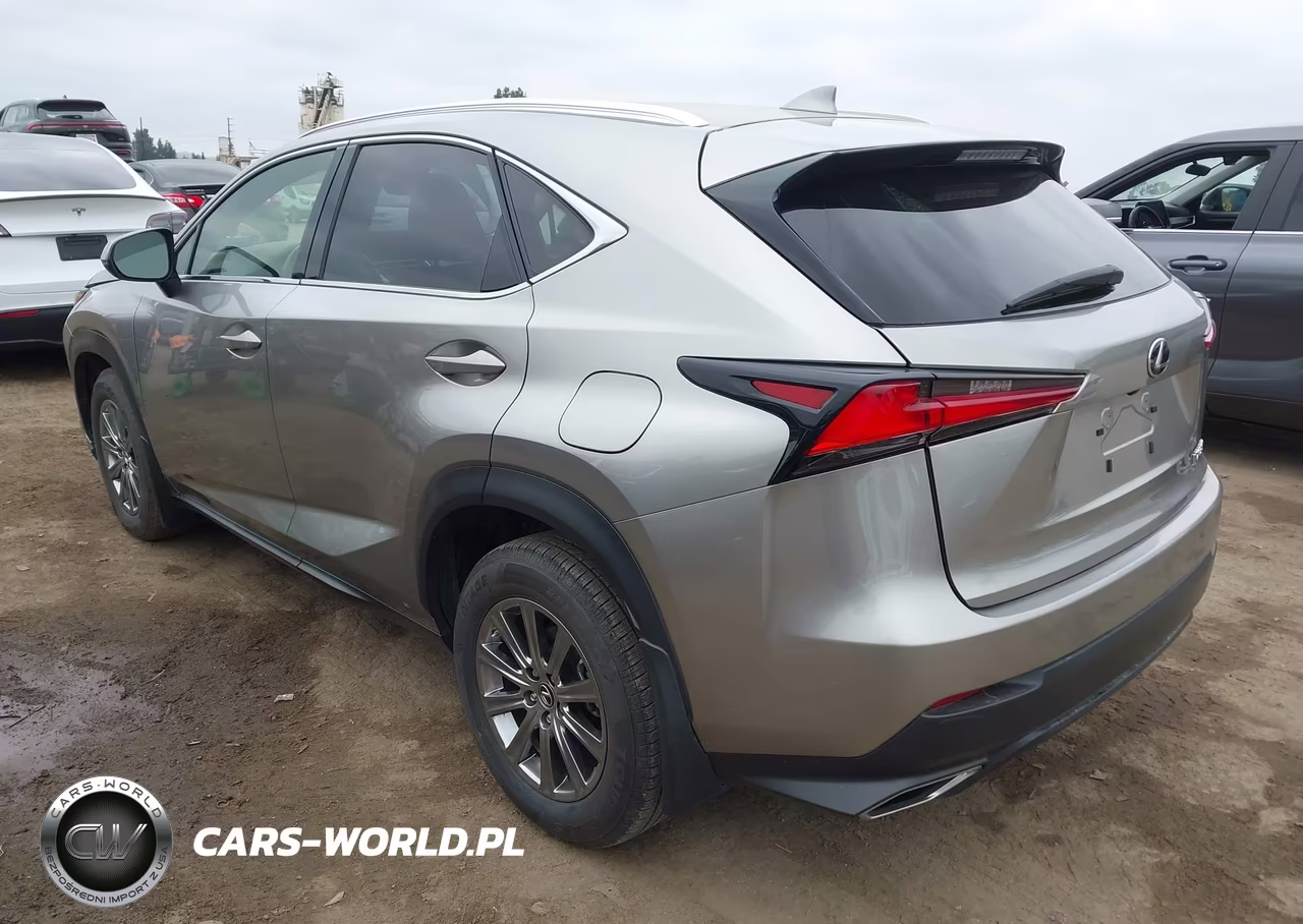 2020 Lexus Nx 300 Base VIN:JTJAARBZXL2162645 - 3