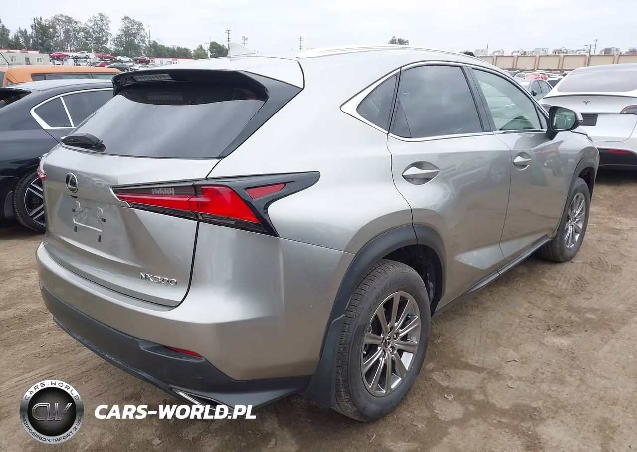 2020 Lexus Nx 300 Base VIN:JTJAARBZXL2162645 - 4