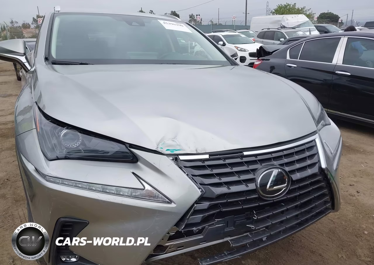 2020 Lexus Nx 300 Base VIN:JTJAARBZXL2162645 - 6