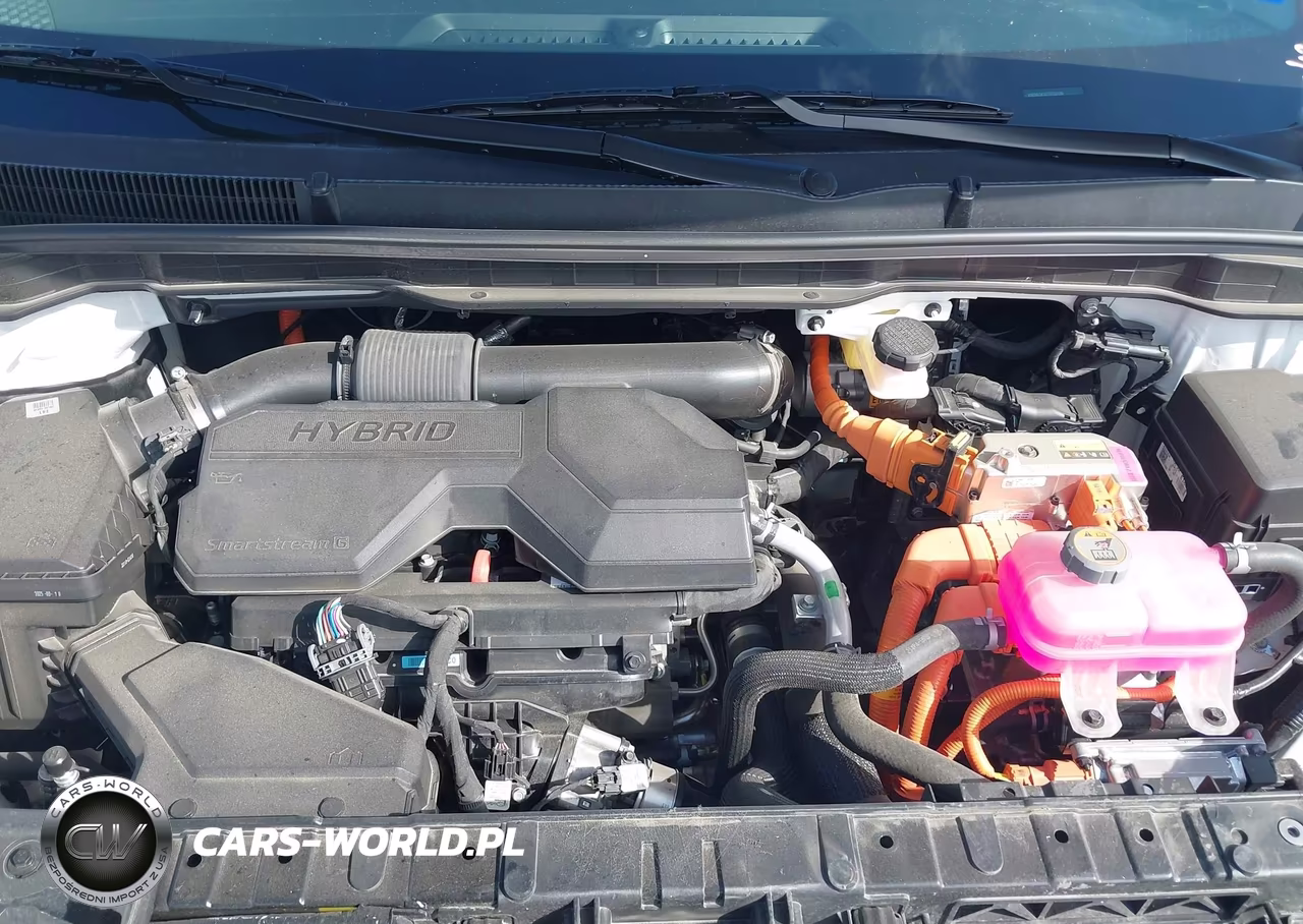 2026 Kia Carnival Mpv Hybrid Lxs VIN:KNDNB5KA1T6130339 - 10