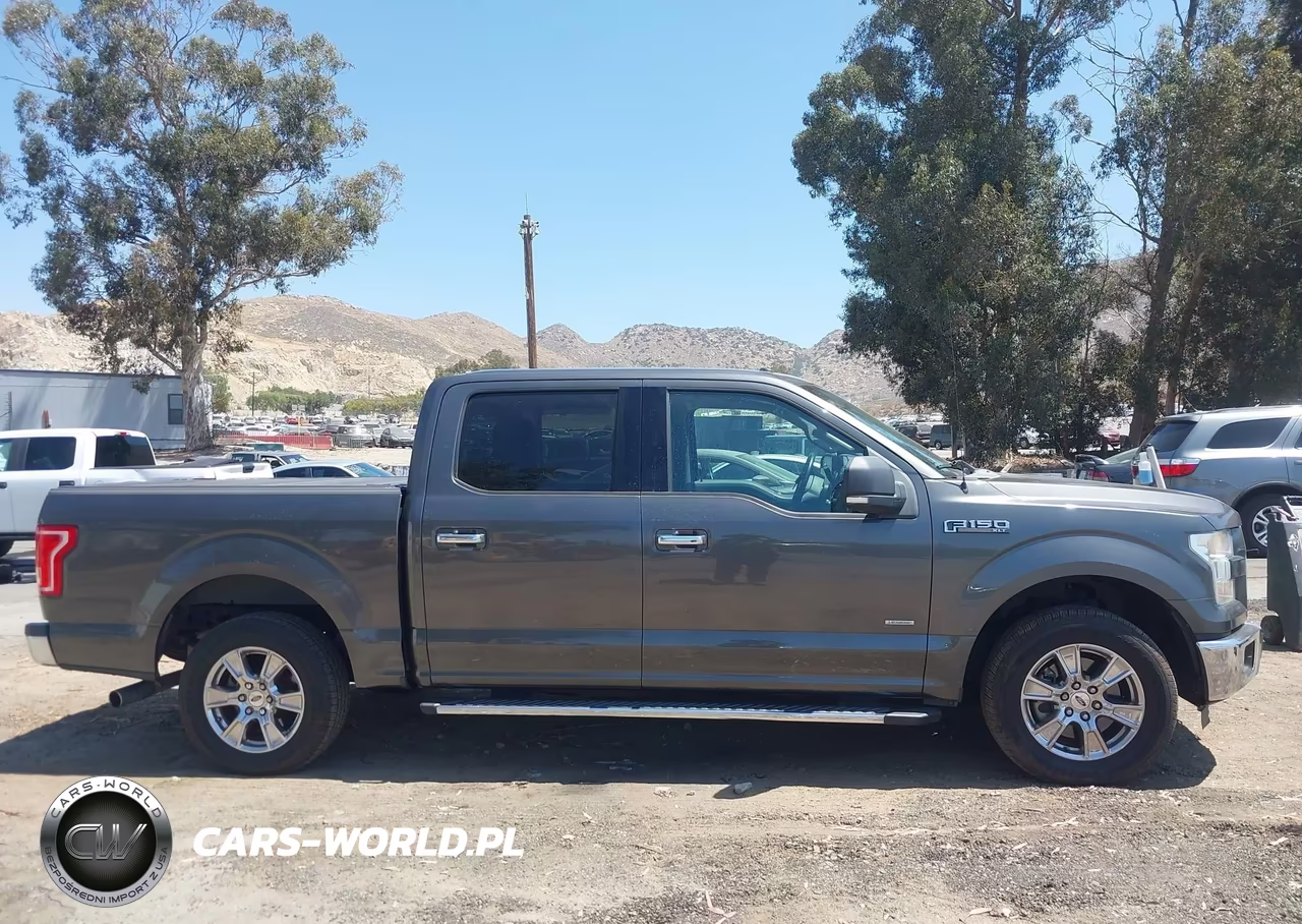 2015 Ford F-150 Xlt VIN:1FTEW1CPXFFA57203 - 13