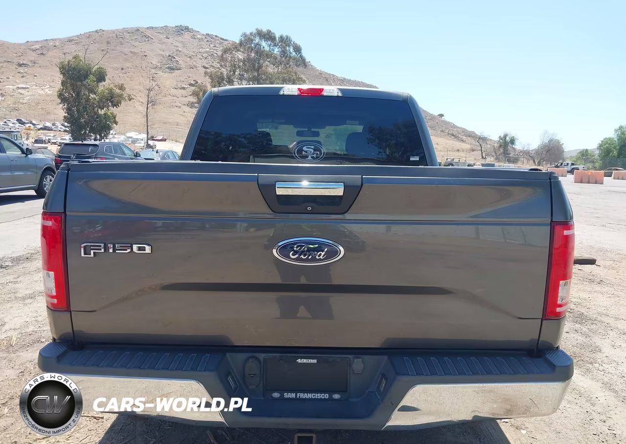 2015 Ford F-150 Xlt VIN:1FTEW1CPXFFA57203 - 16