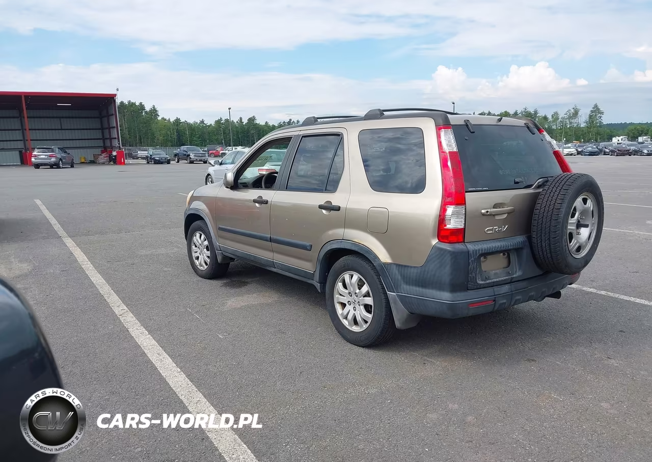 2005 Honda Cr-V Ex VIN:JHLRD78845C010005 - 3